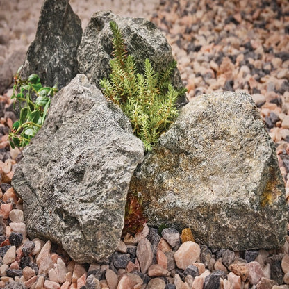 Fern Green Rockery 200-400mm Large Bulk Bag (approx. 80 pcs)